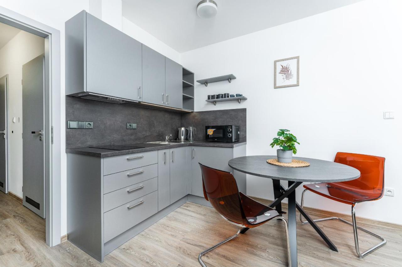 Apartman V Podebradech Podebrady Exterior photo